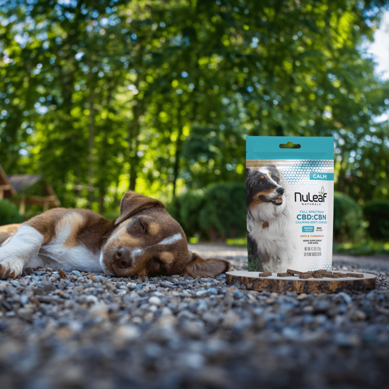 180mg CBD:CBN (2:1) Calm Dog Chews, 30ct (6mg/unit)