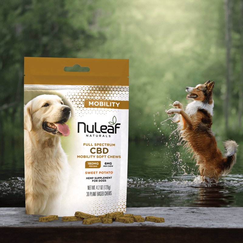 180mg CBD Mobility Dog Chews, 30ct (6mg/unit)